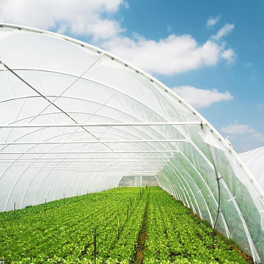 Baoz Mil UV Resistant Polythene Sheeting Greenhouse Plastic Film Cover fo