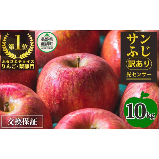 ふるさと納税 長野県 飯綱町  りんご サンふじ １０Kg （ 24〜50玉 ） 訳あり 果物 長野 感謝りん…