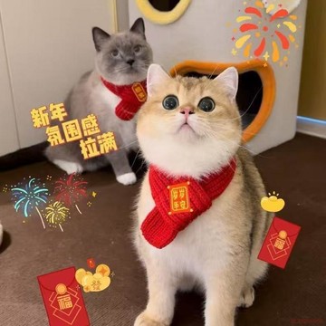 精選好物🌈寵物圍巾貓咪狗狗圍脖新年配飾紅色裝飾毛線針織保暖小狗可愛喜慶