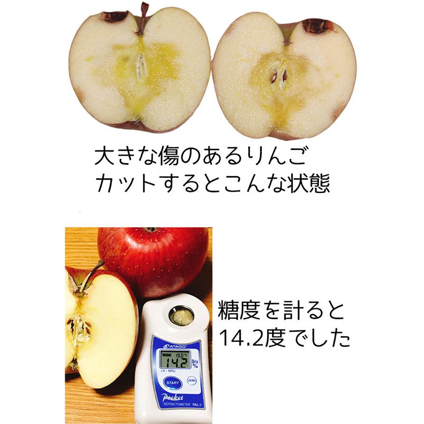 りんご 青森県産 サンふじ リンゴ 林檎 4.5k以上 訳あり ご家庭用 家族 家庭向け 果物 フルーツ ギフト アップル apple 送料無料　お歳暮