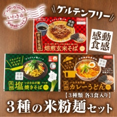 3種の米粉麺セット　いわき米粉麺カレーうどん・いわきねぎ麺塩焼きそば・焙煎玄米そば