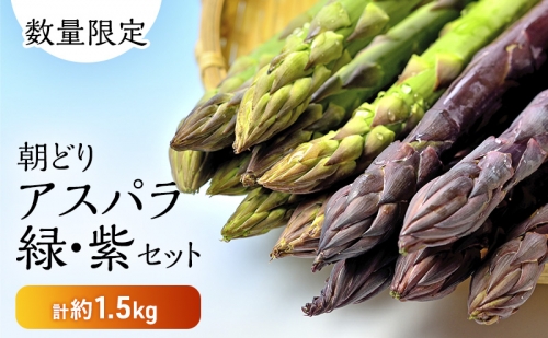 北海道 富良野市産 アスパラ 緑(2L～Lサイズ混合)・紫(LMサイズ混合  計約1.5kg セット 食べ比べ 朝どり 露地 アスパラガス 詰め合わせ 野菜 新鮮 数量限定 先着順