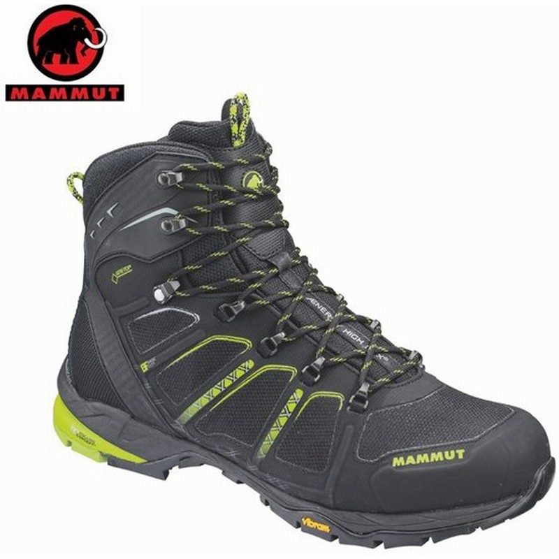 マムート Mammut トレッキングシューズ ゴアテックス ハイカット メンズ T Aenergy High Gtx Men 30 Od 通販 Lineポイント最大0 5 Get Lineショッピング