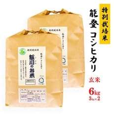 能登のコシヒカリ　飯川のお米　6kg(玄米3kg×2袋)