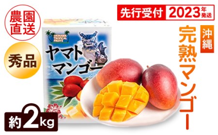 ヤマト農園　完熟マンゴー約2kg（秀品）