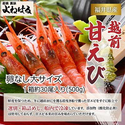 ふるさと納税 美浜町 大好評!越前甘エビ約30尾 1箱