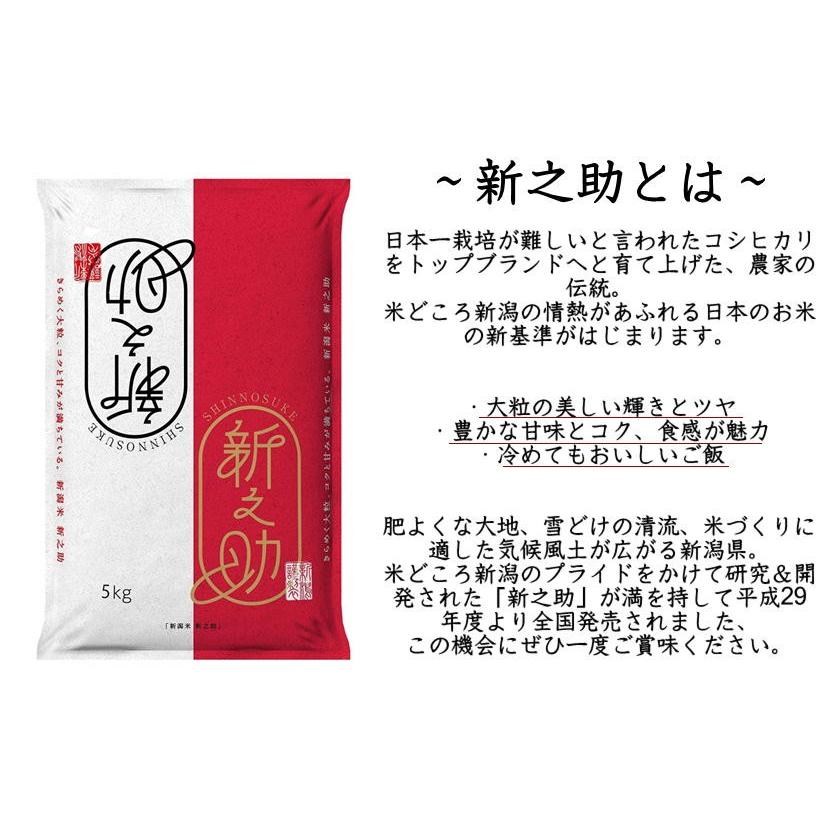 令和4年産 新潟県産 新之助 4kg (2kg×2袋)  産地直送