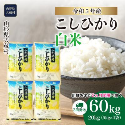 ふるさと納税 大蔵村 令和5年産 コシヒカリ60kg(20kg×3回)