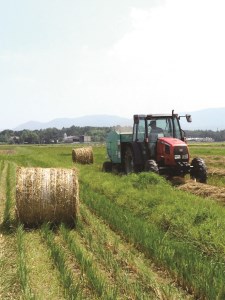 MC-01　特産松阪牛すき焼き用A