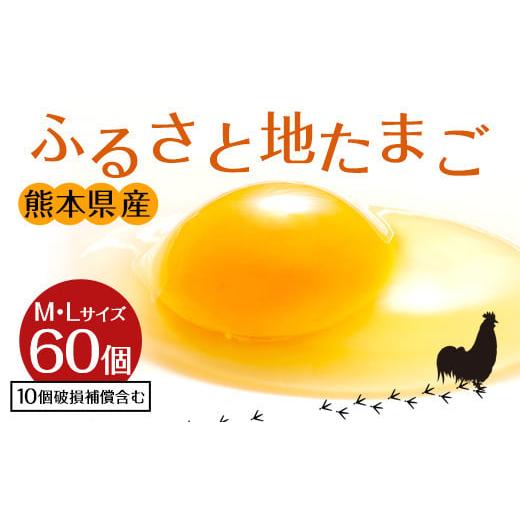 ふるさと納税 熊本県 宇城市 ふるさと地たまご 60個（M・Lサイズ）卵 赤たまご 10個破損補償含む