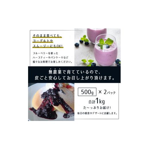 ふるさと納税 秋田県 男鹿市  冷凍ブルーベリー500g×2ハ゜ック（合計1kg）