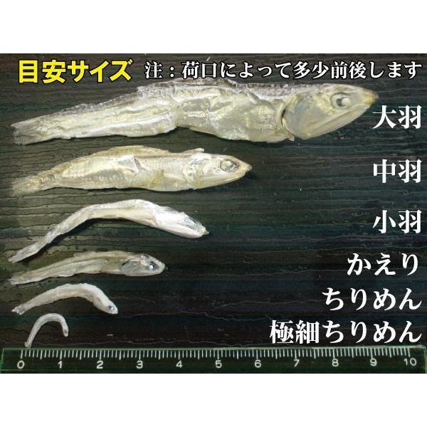 伊吹島沖産の「上物」煮干しいりこ3袋セット