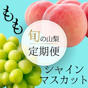 ふるさと納税 山梨の人気フルーツ!桃とシャインマスカットの定期便 全2回【配送不可地域：離島・沖縄県.. 山梨県山梨市