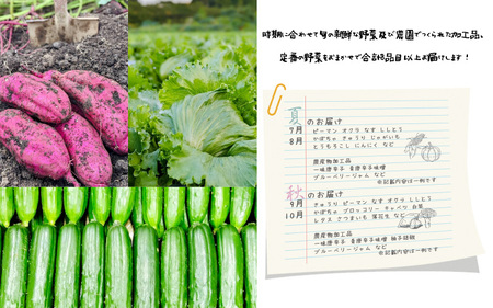 期間限定 鮮度抜群 農場より直送！お楽しみ野菜セット 旬の野菜・定番野菜・手作り加工品詰合せ8品以上  [e62-a002]