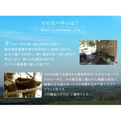 ふるさと納税 南九州市 4等級以上!かわなべ牛サーロインステーキ2枚