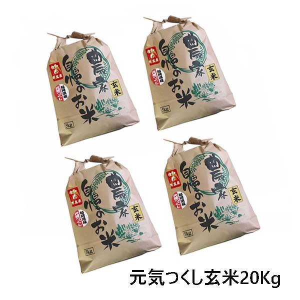 元気つくし 玄米 20kg (5kg×4袋)  令和5年産  福岡県産  農家直送  送料無料　新米