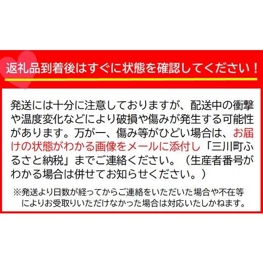 ふるさと納税 山形県 三川町 食の都庄内　庄内砂丘のいちご8パック※2024年1月より発送予定