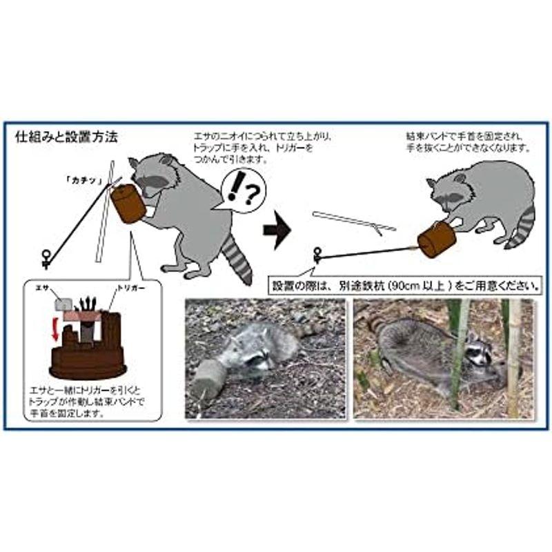 タイガー 捕獲器 アライグマ一番 TAI-1