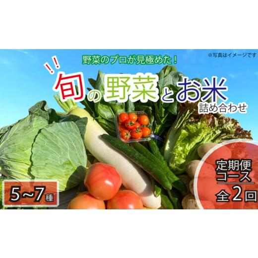 ふるさと納税 徳島県 阿波市 野菜 米 お楽しみ 5~7品目 年2回 定期便 詰め合わせ セット 阿波市 徳島県