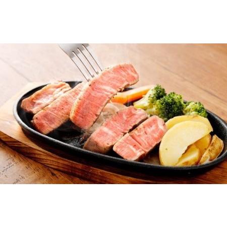 ふるさと納税 あか牛 ヒレ肉 800g(6枚前後) 馬刺し 300g 食べ比べ セット 計1.1kg 熊本県菊池市