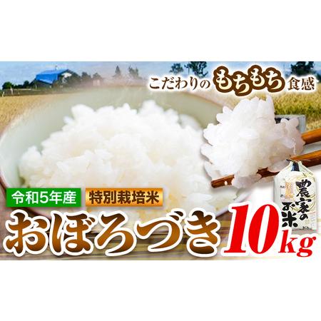 ふるさと納税 [1.25-63]　ファームふたば特別栽培米「おぼろづき」10kg 北海道当別町