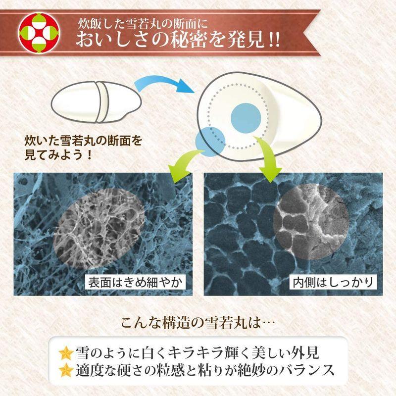 精米 無洗米 雪若丸 30kg (精米後約27kg) 山形県産 令和4年産