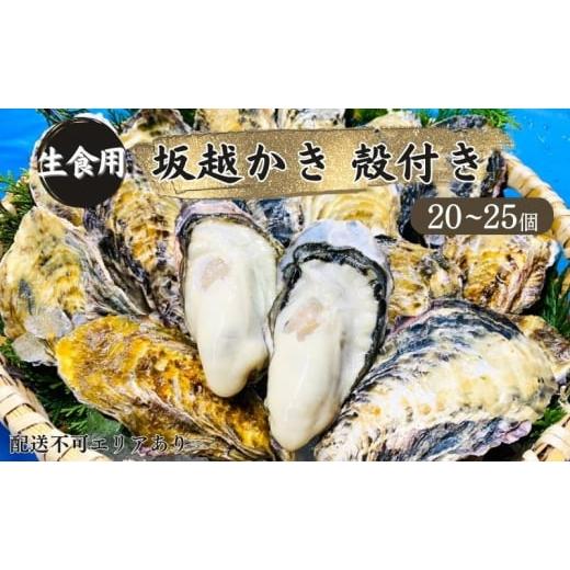 ふるさと納税 兵庫県 赤穂市 牡蠣 生食用 坂越かき 殻付き 20〜25個[ 生牡蠣 真牡蠣 かき カキ 冬牡蠣