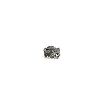 Shiva Rings No.1