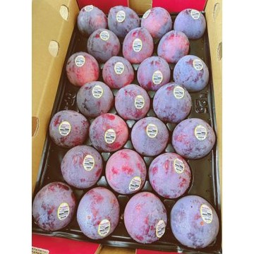 美國 鴕鳥蛋 蜜李｜美國進口水果  3顆 / 450g+-10%