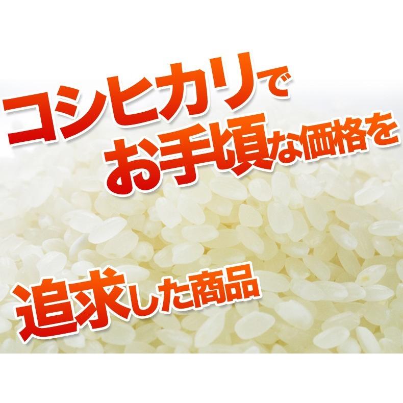 新米 米 20kg 10kg×2袋 送料無料 コシヒカリ 白米 国内産 故郷コシヒカリ令和5年産