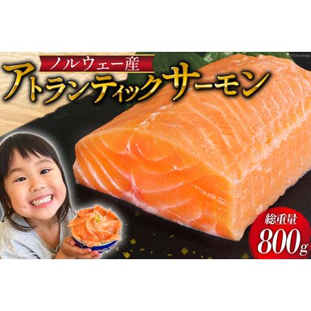 ふるさと納税 ノルウェー産 アトランティックサーモン 総重量800g(正味重量680g) [カネダイ 宮城県 気仙沼市 20562809] 魚 魚介類 サーモン 刺.. 宮城県気仙沼市