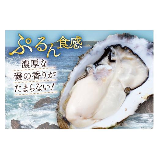 ふるさと納税 宮城県 気仙沼市 牡蠣 大粒 3〜4年モノ 生食 殻付き牡蠣