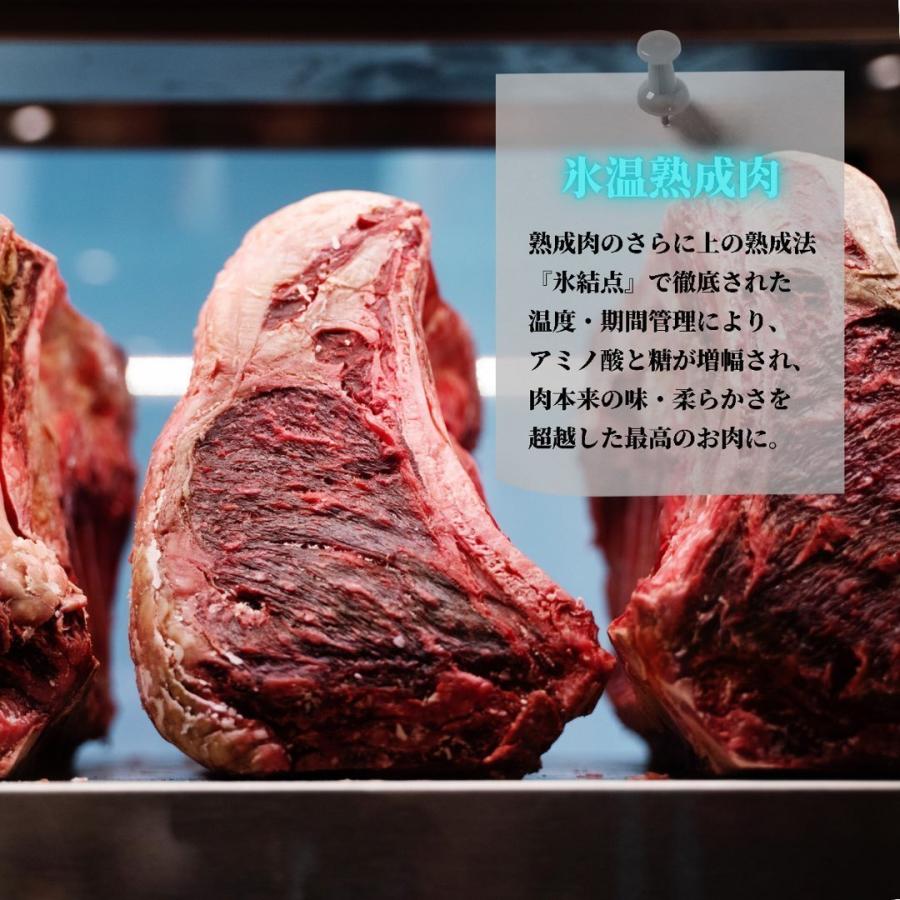 ヒレ プレゼント フィレ ステーキ100g 低温熟成 国産 牛 焼肉 赤身 肉 セット お洒落 贈り物 book型