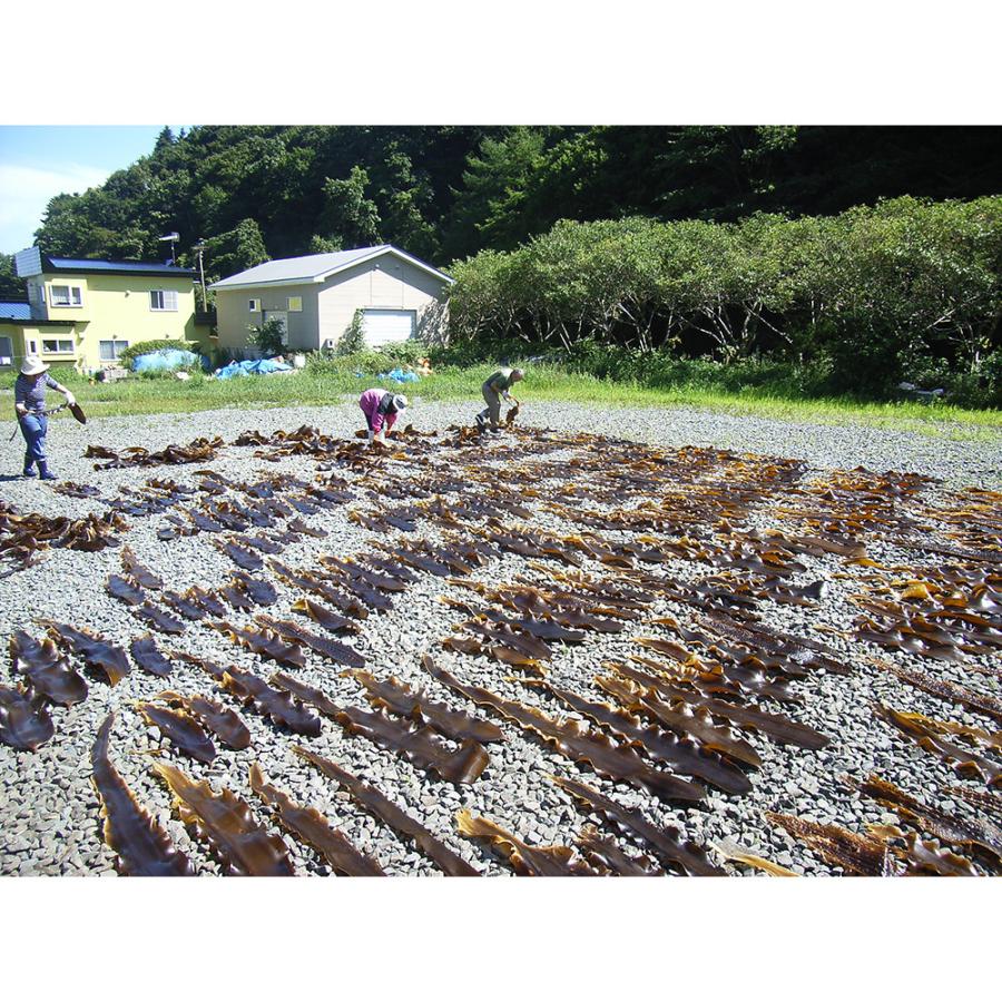 献上真昆布(箱入) こんぶ お取り寄せ お土産 ギフト プレゼント 特産品 お歳暮 おすすめ