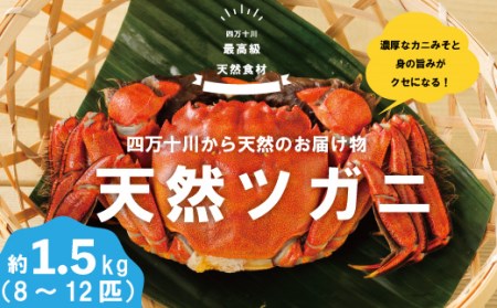 R5-984．最高級天然食材！四万十川の天然ツガニ 約1.5kg（8～12匹）