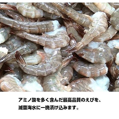 ギフト えび エビ 冷凍 蒸しえび 250g×2 海老 産地直送 茨城県 樫寅 お取り寄せ 七五三 お中元 年賀