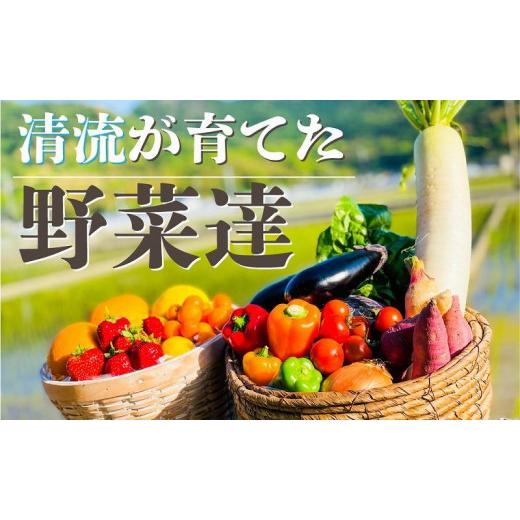 ふるさと納税 高知県 高知市 高知の新鮮野菜セット／旬の野菜を味わう12ヵ月便