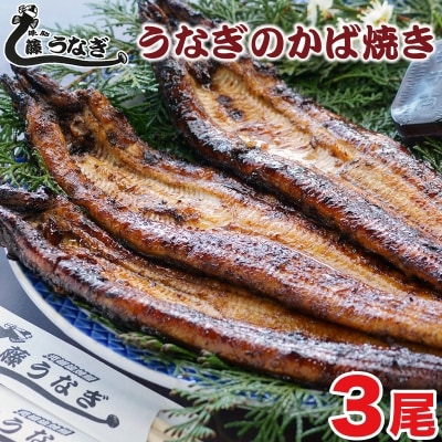 藤うなぎ　かば焼き　3尾[1160]