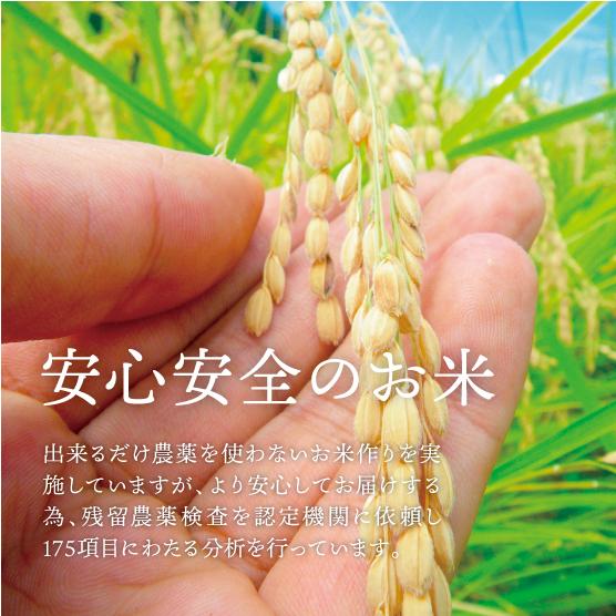 令和5年産新米！精米歩合が選べるプレミアコシヒカリ！絶品はちたか米　20kg