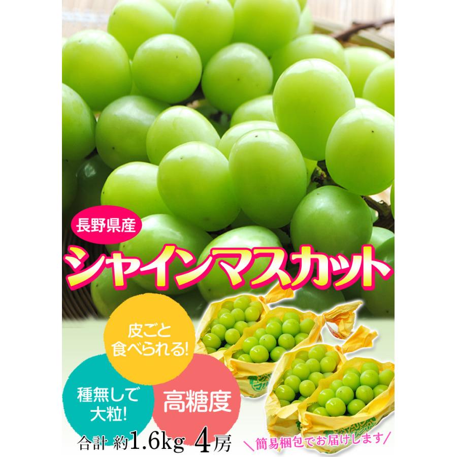 『シャインマスカット』長野県産 4房 計約1.6kg ※常温 送料無料