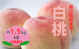 新見の白桃 約1.5kg 6玉 