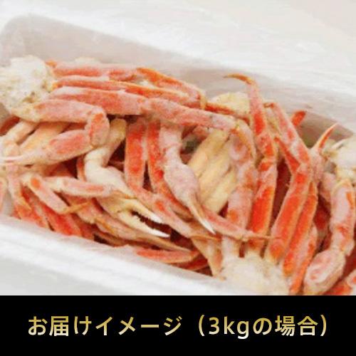 ボイルズワイガニ 足 3ｋｇ（約12肩〜18肩） 北海道 お土産 ギフト お取り寄せ