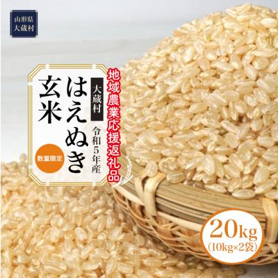 ふるさと納税 大蔵村 令和5年産　はえぬき[玄米]20kg(10kg×2袋)〜地域農業応援返礼品〜