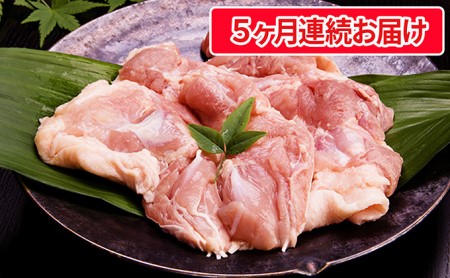 奥久慈 しやも肉 定期便 5ヶ月連続お届け お肉 鶏肉 軍鶏 ささみ もも肉 むね肉 頒布会