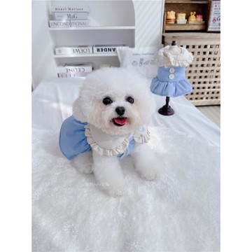 【清倉特惠】寵物衣服秋冬夾棉加絨馬甲裙子狗狗貓咪加厚保暖外套