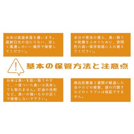 ふるさと納税 《 令和5年産 》茨城県産 無洗米 コシヒカリ 20kg 5kg × 4袋  こしひかり 米 コメ こめ 五ツ星 高品質 白米 精米 時短 期.. 茨城県牛久市