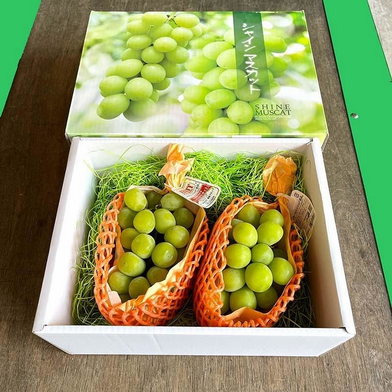 7房 シャインマスカット 秀品 4L 5キロ 長野県JA中野市