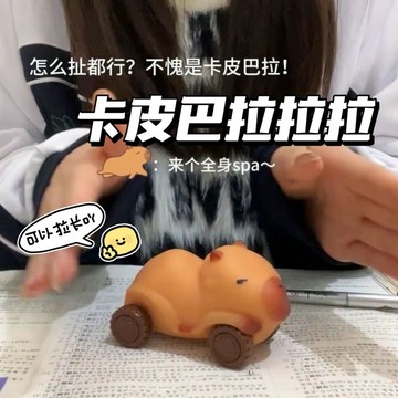 臺灣出貨 創意新款卡皮巴拉拉拉樂滑行車  四輪車 變形學生玩具  新奇特帶輪裝沙 趣味禮物 丑萌玩具