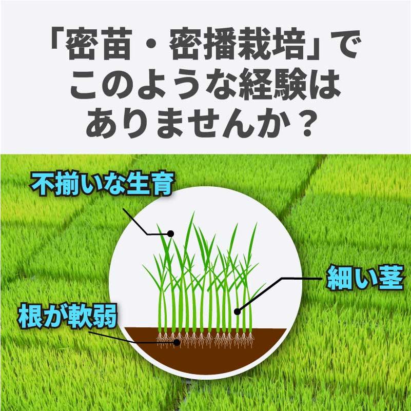 育苗ローラー 啓文社 5段階調整 生育 水稲 密播 密苗 の 育苗 に オK代不 IR-W1250