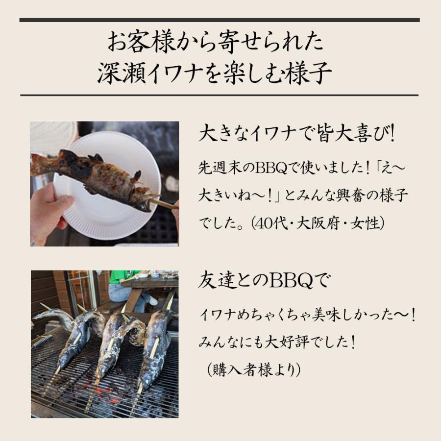 イワナ 岩魚 冷凍 川魚 養殖 骨酒 塩焼き 誕生日 ギフト 加熱用 5尾 串なしタイプ